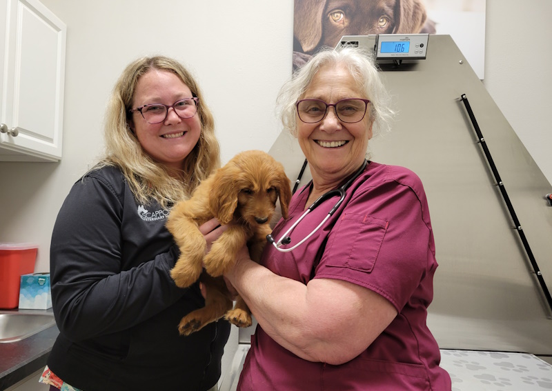 Carousel Slide 3: Scappoose Veterinary Hospital